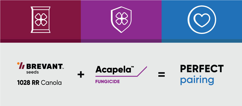 brevant and acapela equal the perfect pair